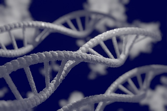 La genética y su influencia en la salud: descifrando los secretos del ADN