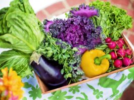 La importancia de la nutrigenética en la alimentación y la salud
